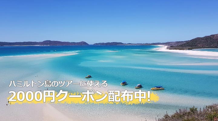 2025年セール！！