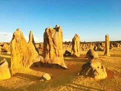 砂漠に広がる柱状の奇岩