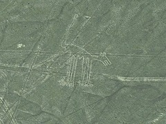 世界遺産のナスカの地上絵を遊覧飛行で見下ろす