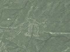 世界遺産のナスカの地上絵を遊覧飛行で鑑賞