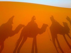 サハラ砂漠