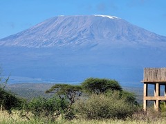 キリマンジャロ山を背景にサファリを満喫