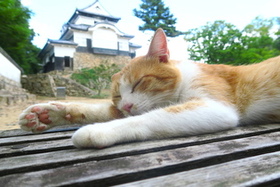 ツアースケジュール1