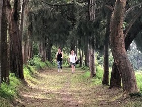 ツアースケジュール2