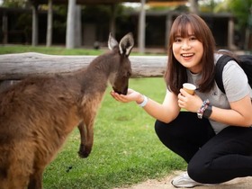 ツアースケジュール1