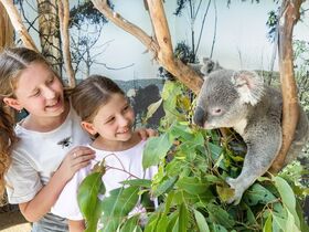 ツアースケジュール2