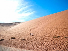 ツアースケジュール2