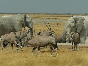 ツアースケジュール2