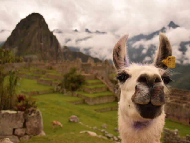 インカ帝国が作り上げた神秘の天空遺跡、マチュピチュ
