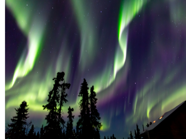 フェアバンクス