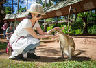 施設内の動物園ではぜひワラビーに餌付けを