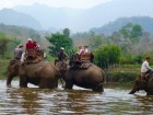 象に乗ってメコン川の中へ