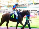 シンガポールでの競馬観戦ツアー