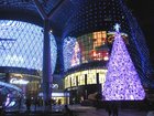11月末から1月頭にかけてはクリスマスライトアップもご覧いただけます。