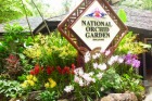 シンガポール国立蘭庭園
