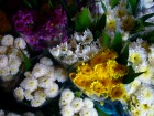 生花市場として名高い市場は花で溢れている