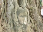 木の根で覆われた仏頭で知られる仏教寺院の廃墟