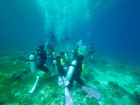 でも大丈夫！　感動の海の中