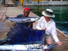 大きなカジキマグロが釣れました！