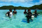 初めてのダイビングでも安心のパラオのおだやかな海