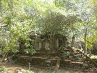 ラピュタのようなシェムリアップ近郊の森に眠る巨大寺院