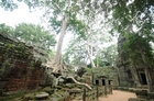「森の寺院」タプローム