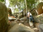 カンボジアの森の中を散策