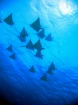 海中世界