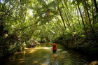 川を横切ったり、パラオの森で大冒険