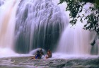 マイナスイオンをたっぷり浴びるパラオの滝