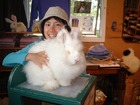 ふかふかのアンゴラウサギ