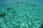 この透明感！