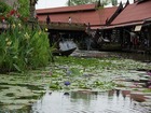 お店以外に魚や花を見ることができるアユタヤ水上市場