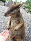 こんなに近くまで