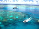 青い海で最高ダイブ!