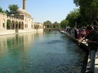 イスラムの聖地「シャンルフルファ」