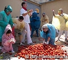 お祭りの準備で集められたトマトと、仕分けする街の人々。