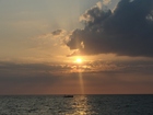 船上よりイルカを眺めロマンチックな夕日を鑑賞
