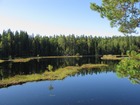 ヌークシオ国立公園で池のほとりを歩きます