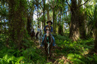 ケアンズの熱帯雨林の中を乗馬します