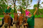 4歳以上から乗馬可能なので、家族で楽しめます