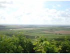 フランスののどかな風景が広がる