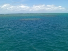一面に広がる青い海