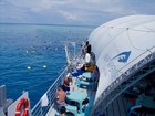揺れないので酔う心配がない人口の浮島ポンツーン