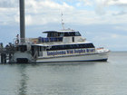 タンガルーマワイルドドルフィンリゾート専用の船