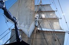 シドニーハーバーを昔ながらの帆船でクルーズ