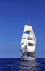シドニーの青空に白い帆船が映える