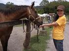 乗馬後、馬にごほうびをあげます