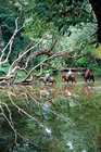 こんなきれいな景色の中での乗馬は最高!!