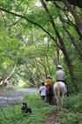 森の中の乗馬は本当に気持ちいい